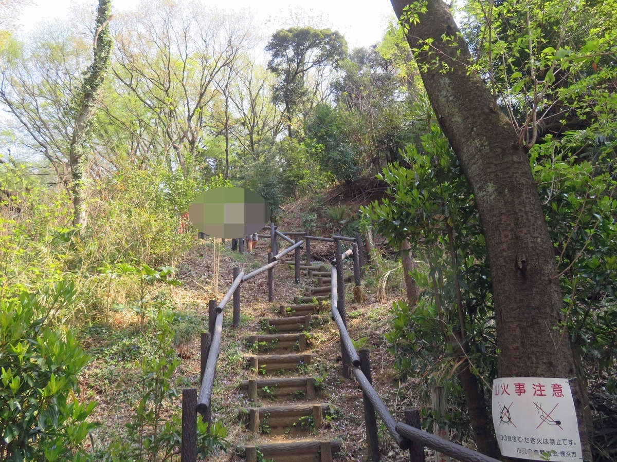 f:id:ICHIZO:20190410052828j:plain