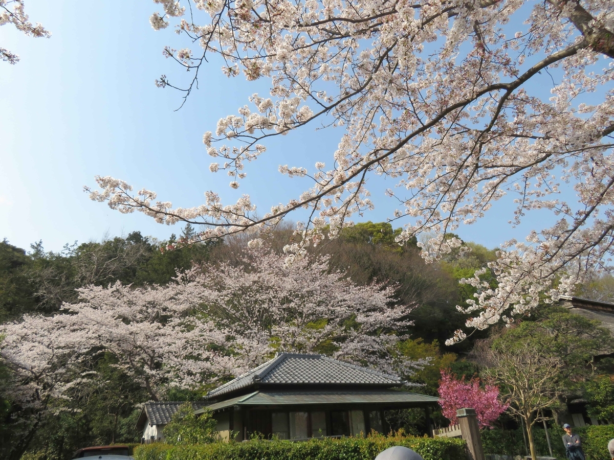 f:id:ICHIZO:20190410053740j:plain