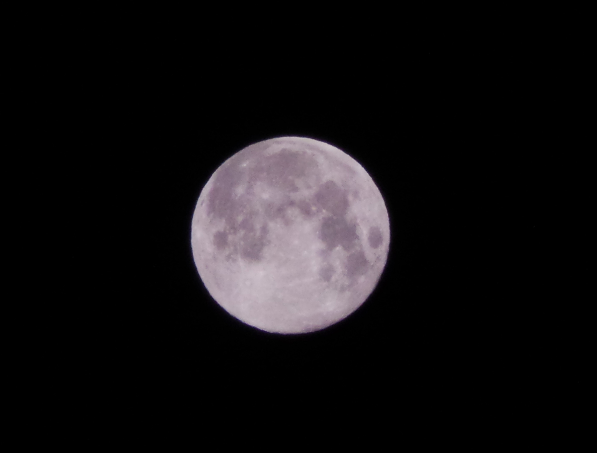 f:id:ICHIZO:20190423185146j:plain