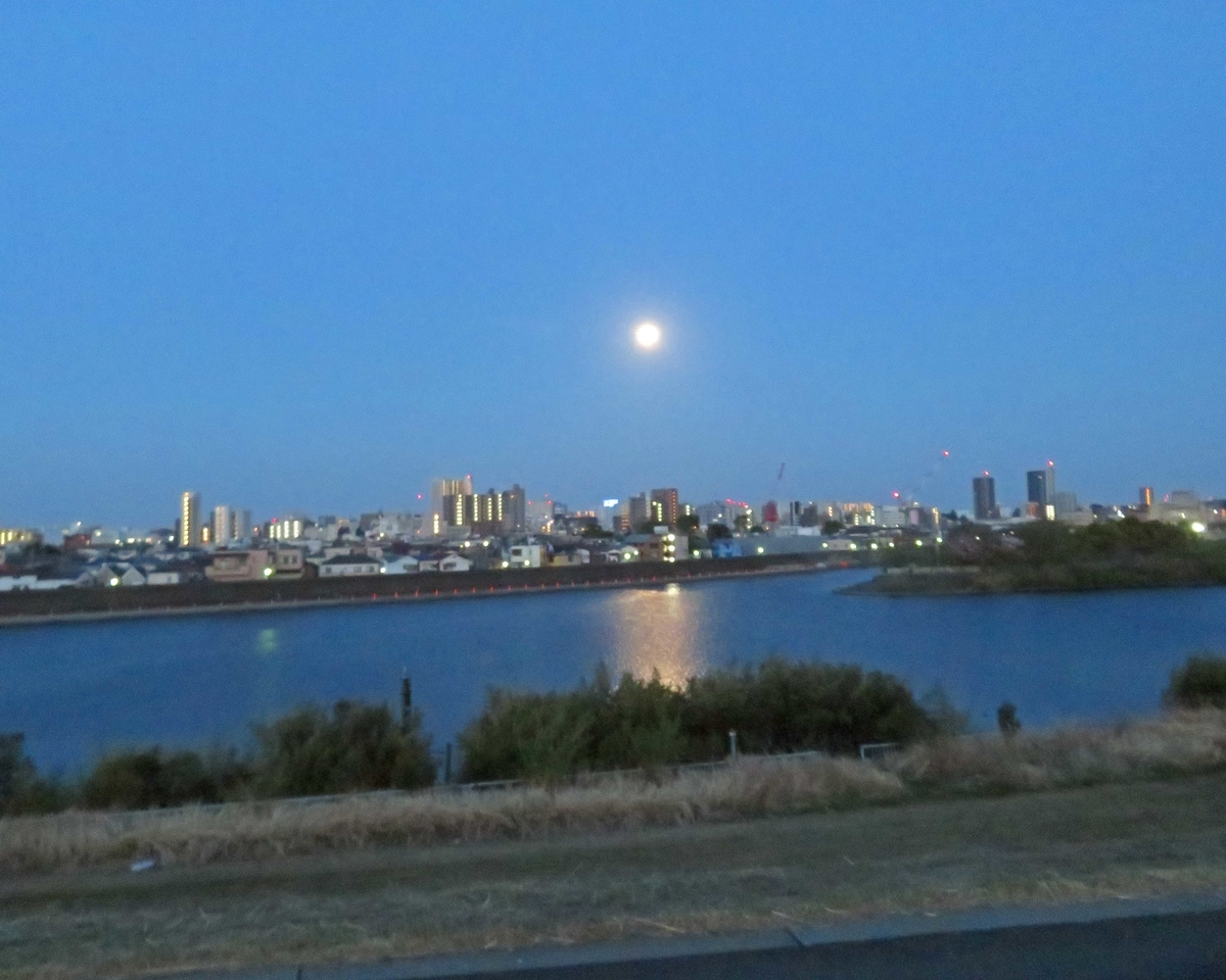 f:id:ICHIZO:20190423193509j:plain