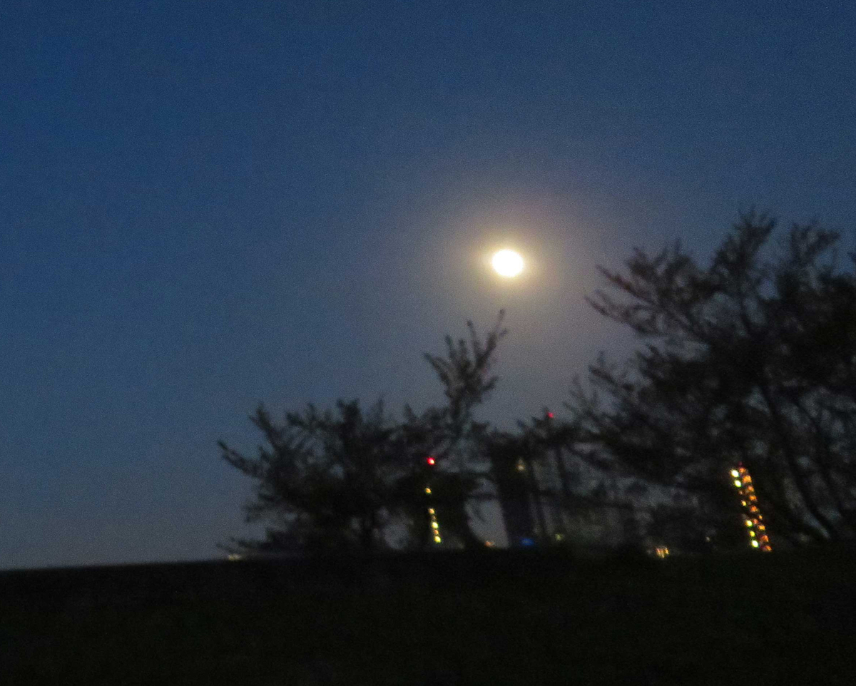 f:id:ICHIZO:20190423194100j:plain