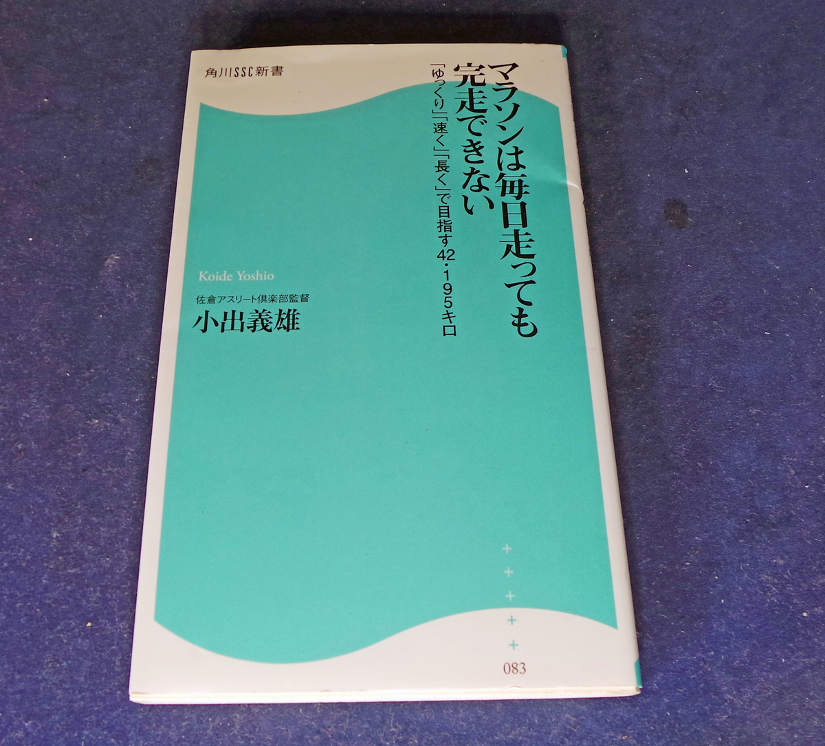 f:id:ICHIZO:20190424213654j:plain f:id:ICHIZO:20190424213654j:plain