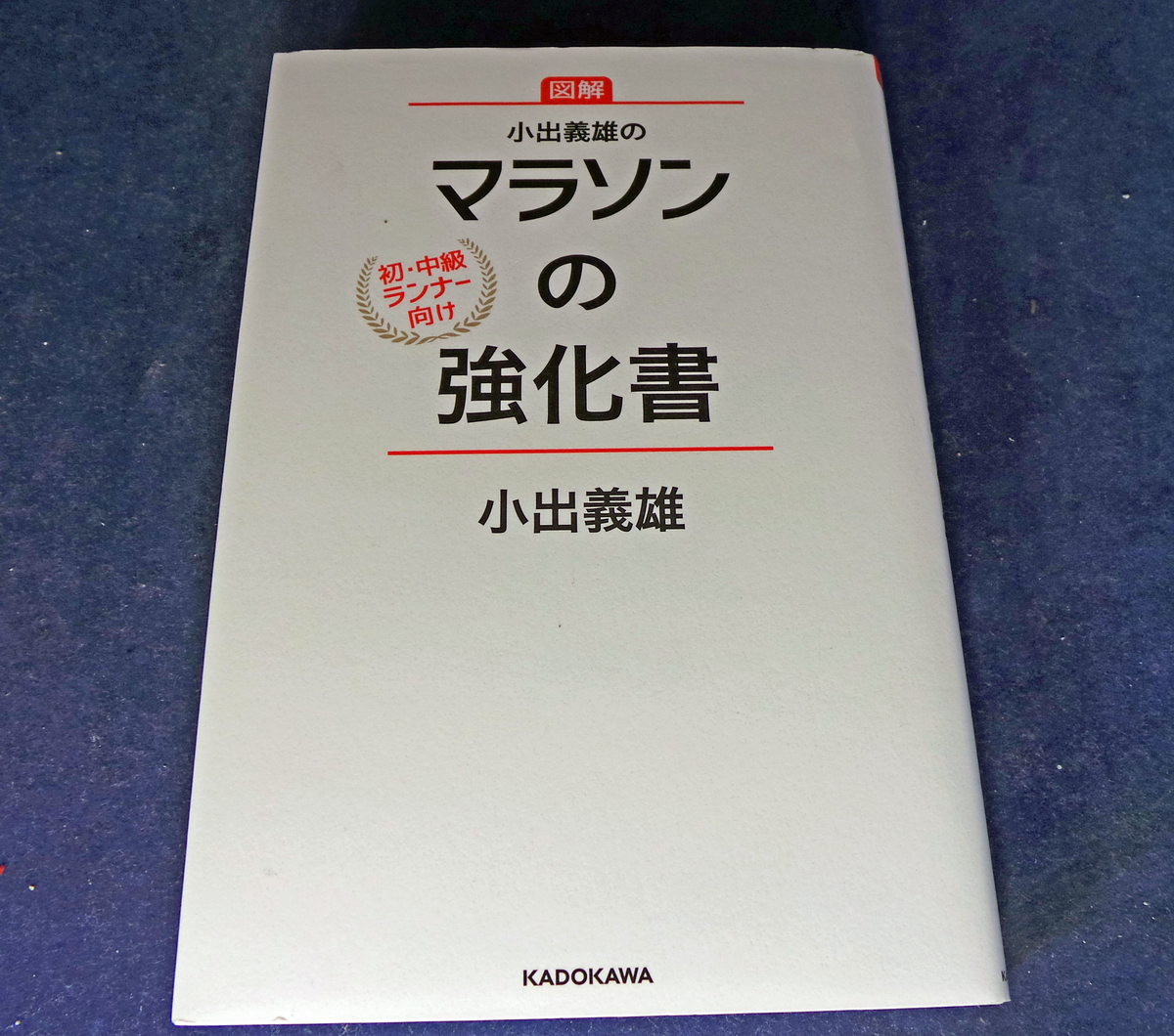 f:id:ICHIZO:20190424213838j:plain f:id:ICHIZO:20190424213838j:plain