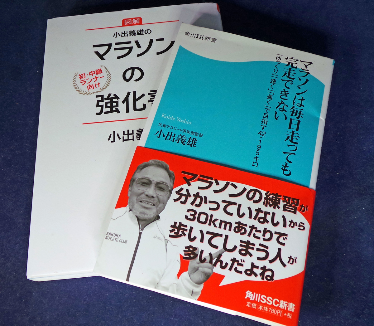 f:id:ICHIZO:20190424213957j:plain f:id:ICHIZO:20190424213957j:plain