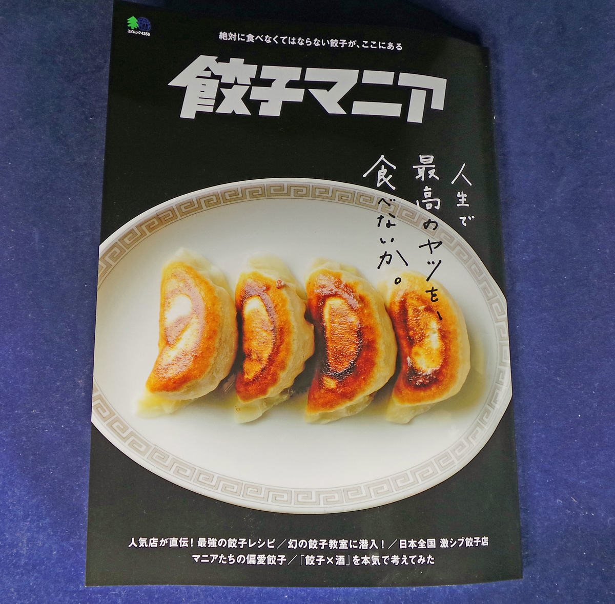 秘伝レシピ 超変わり種 究極のフライパン まさに 餃子マニア 必読本が出た 餃子ランナーは電子機器の夢を見るか 秘伝レシピ 超変わり種 究極のフライパン まさに 餃子マニア 必読本が出た 餃子ランナーは電子機器の夢を見るか