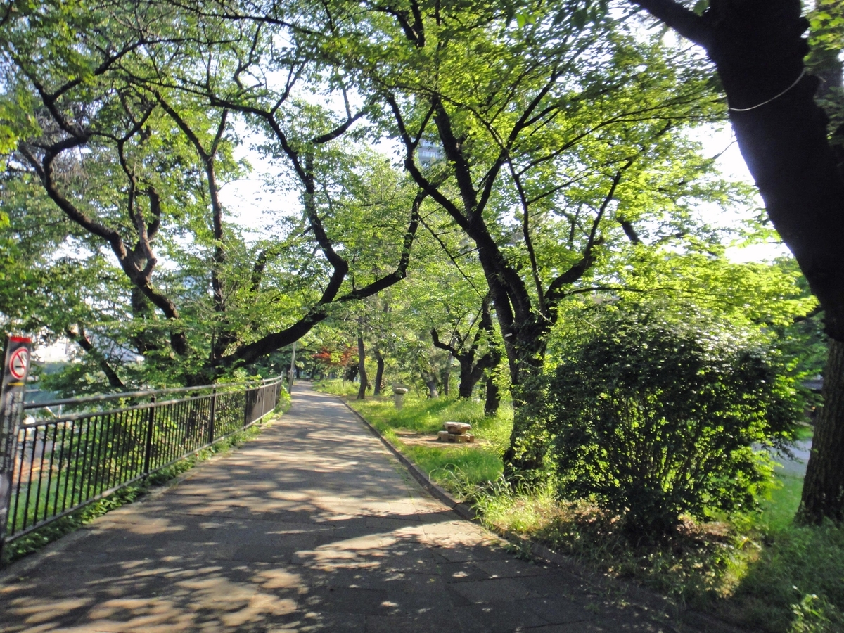 f:id:ICHIZO:20190528052359j:plain