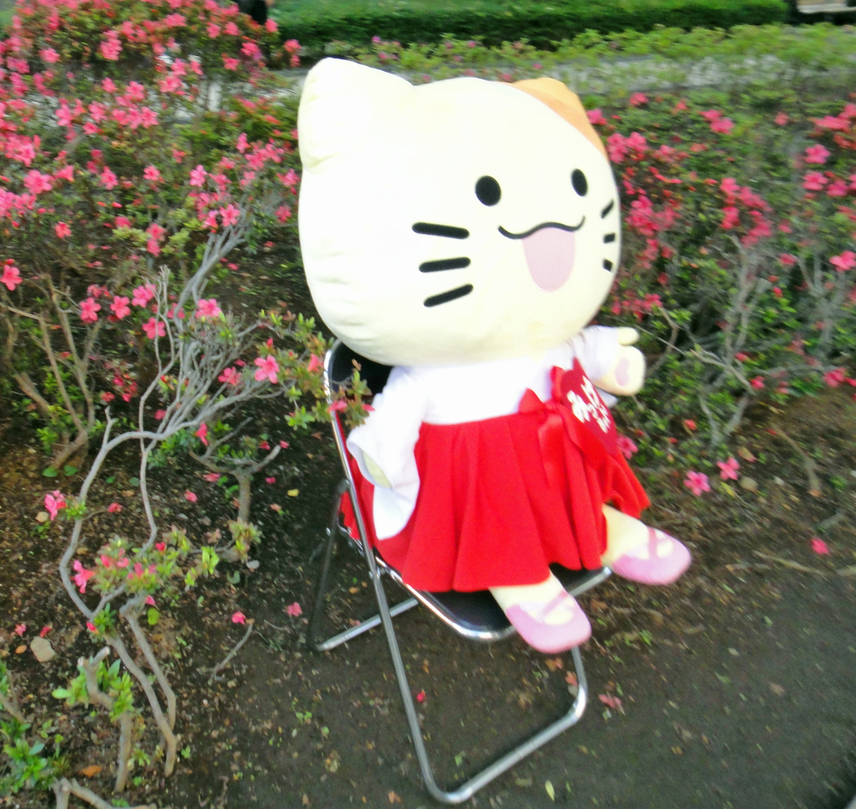 f:id:ICHIZO:20190528150425j:plain