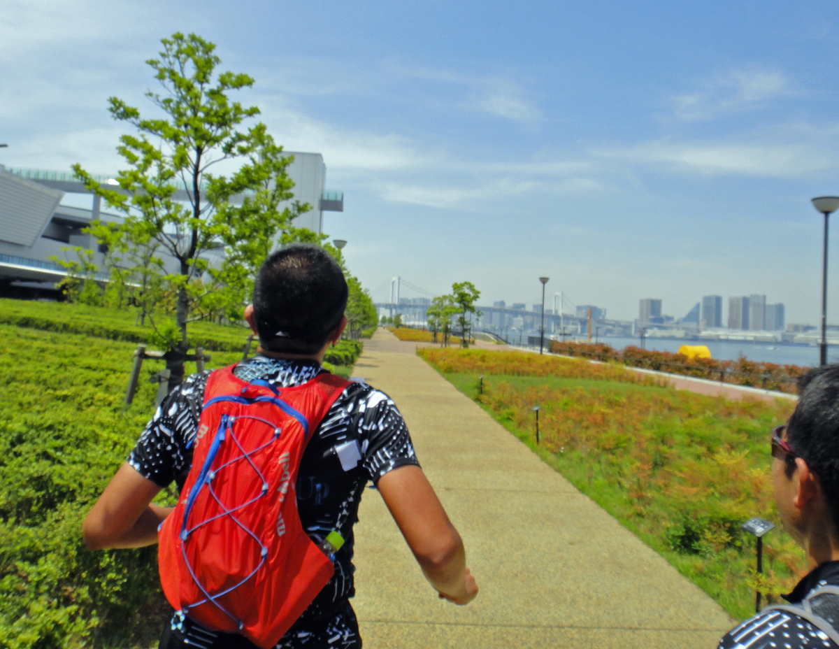 f:id:ICHIZO:20190528152536j:plain