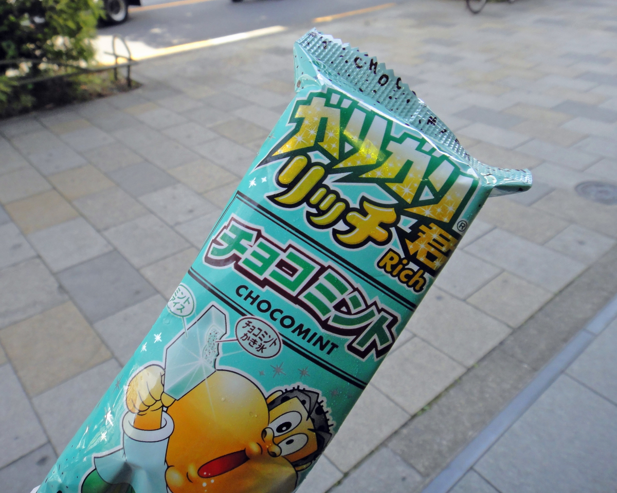 f:id:ICHIZO:20190528154622j:plain