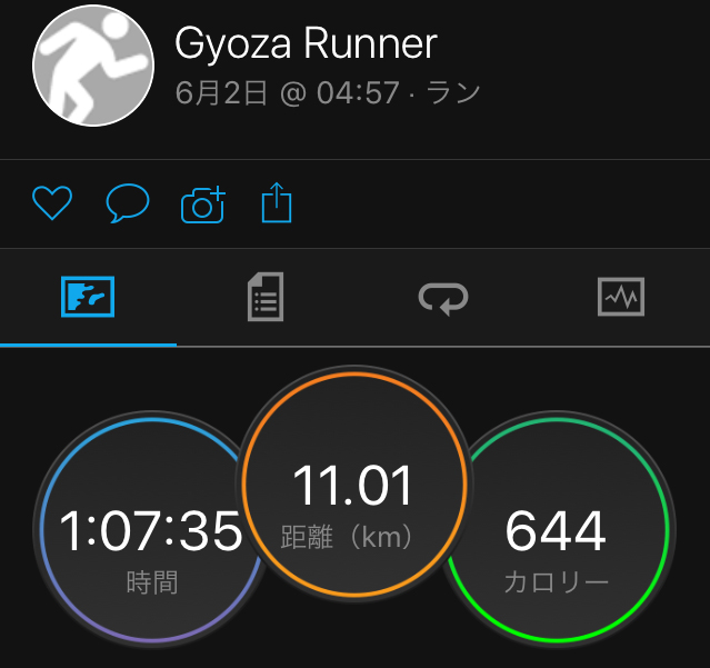 f:id:ICHIZO:20190602162346j:plain