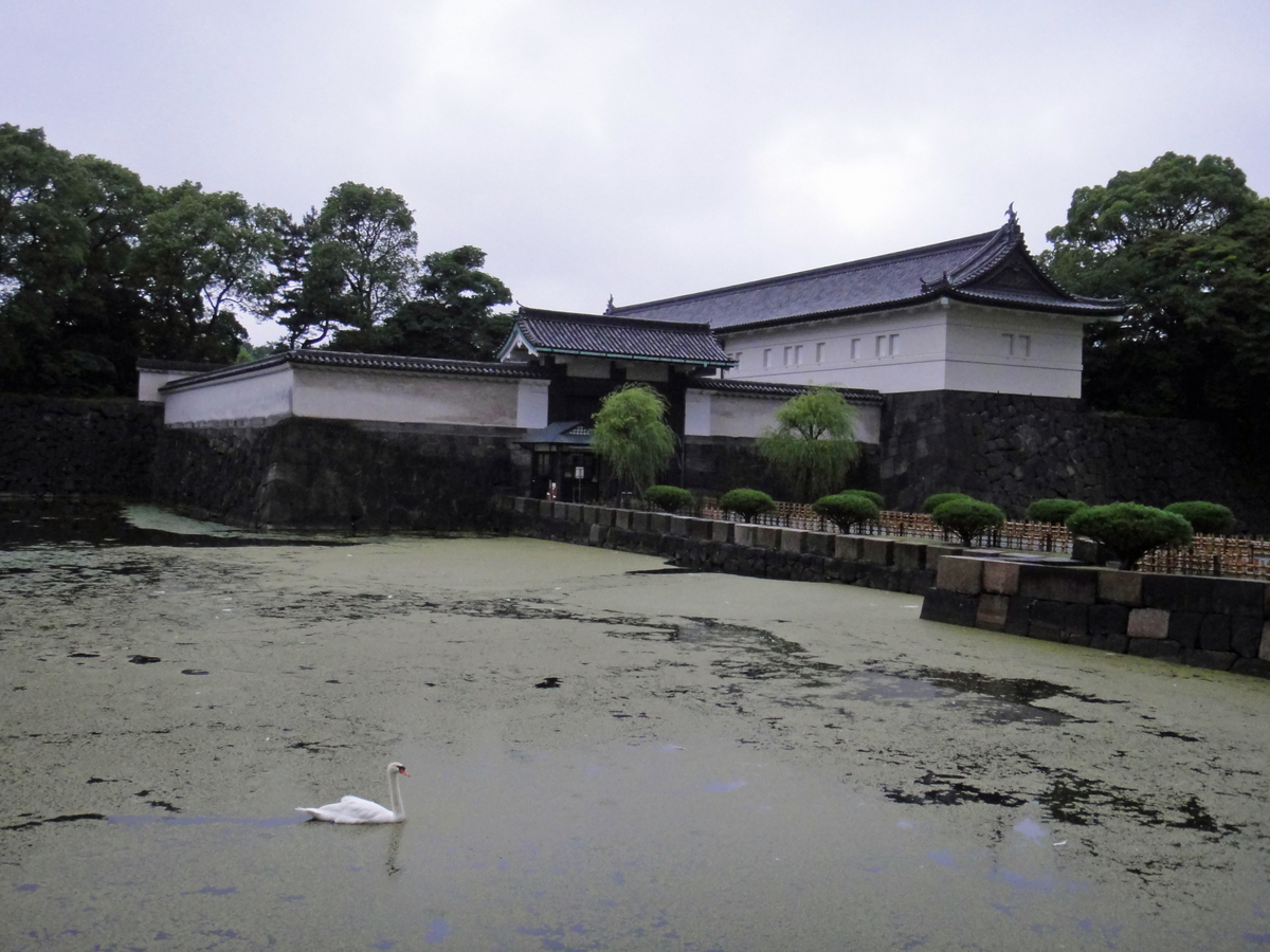 f:id:ICHIZO:20190630200831j:plain