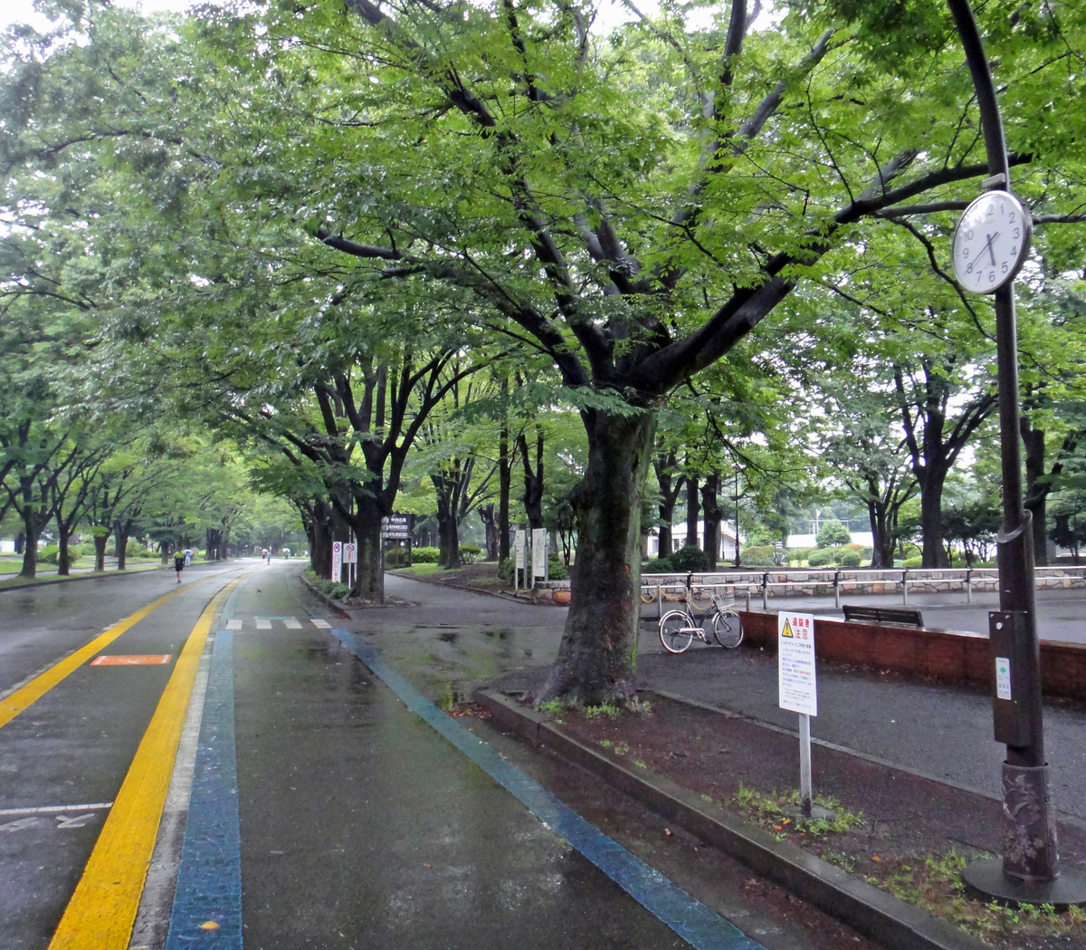 f:id:ICHIZO:20190707184917j:plain f:id:ICHIZO:20190707184917j:plain