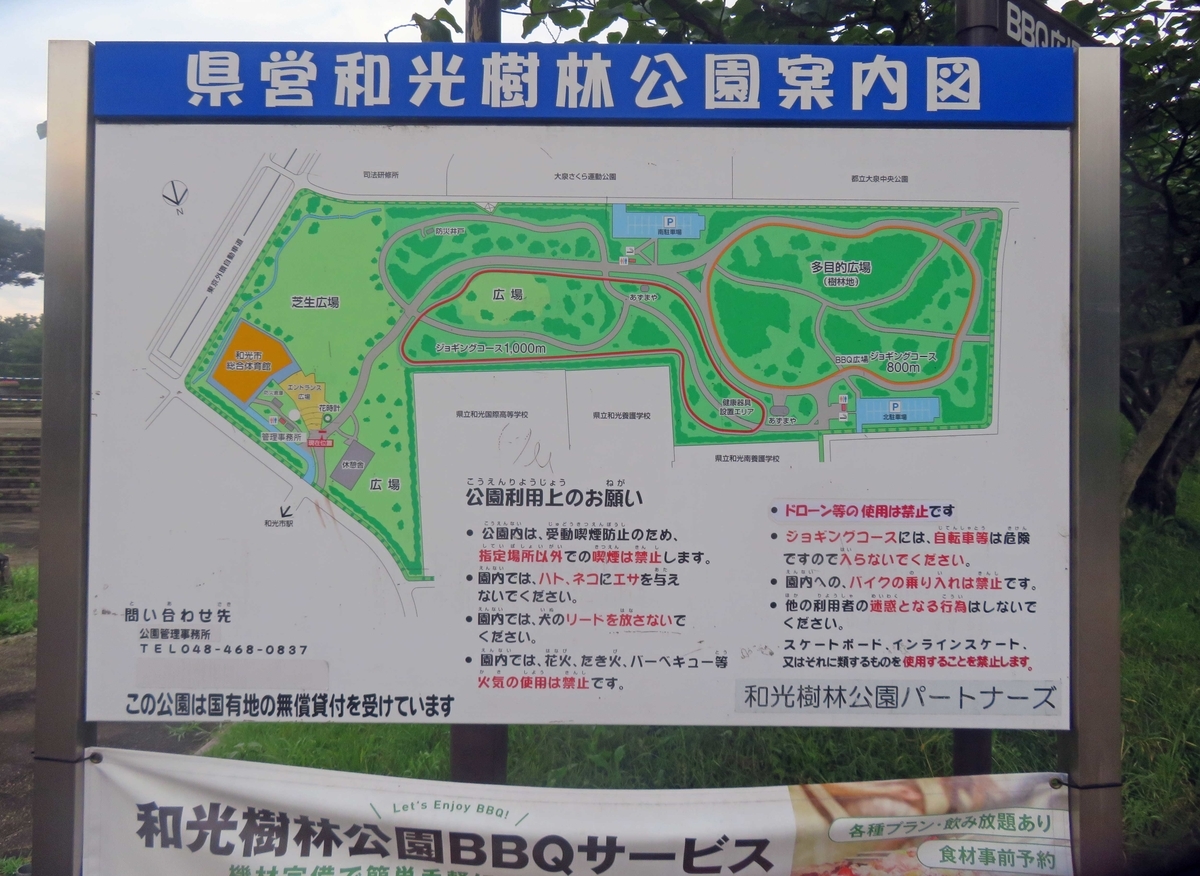 f:id:ICHIZO:20190719085601j:plain