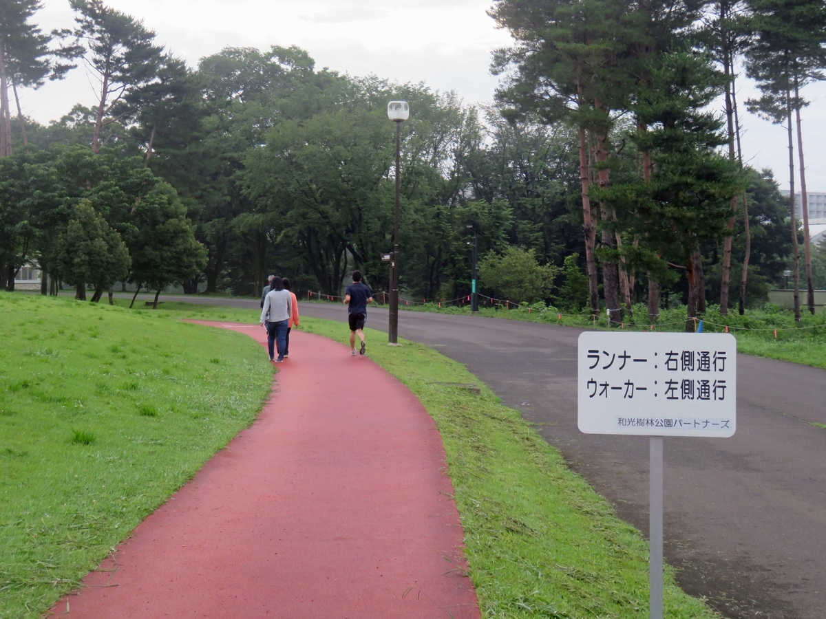 f:id:ICHIZO:20190719090656j:plain