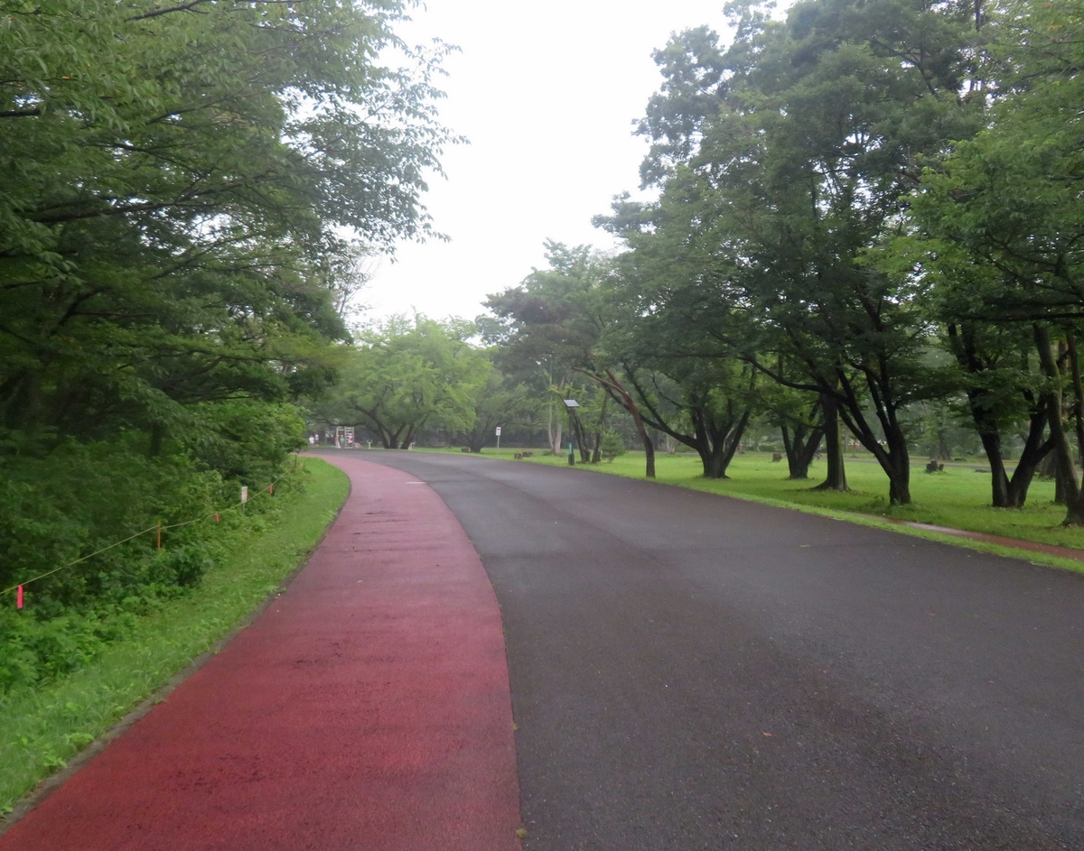 f:id:ICHIZO:20190719091211j:plain