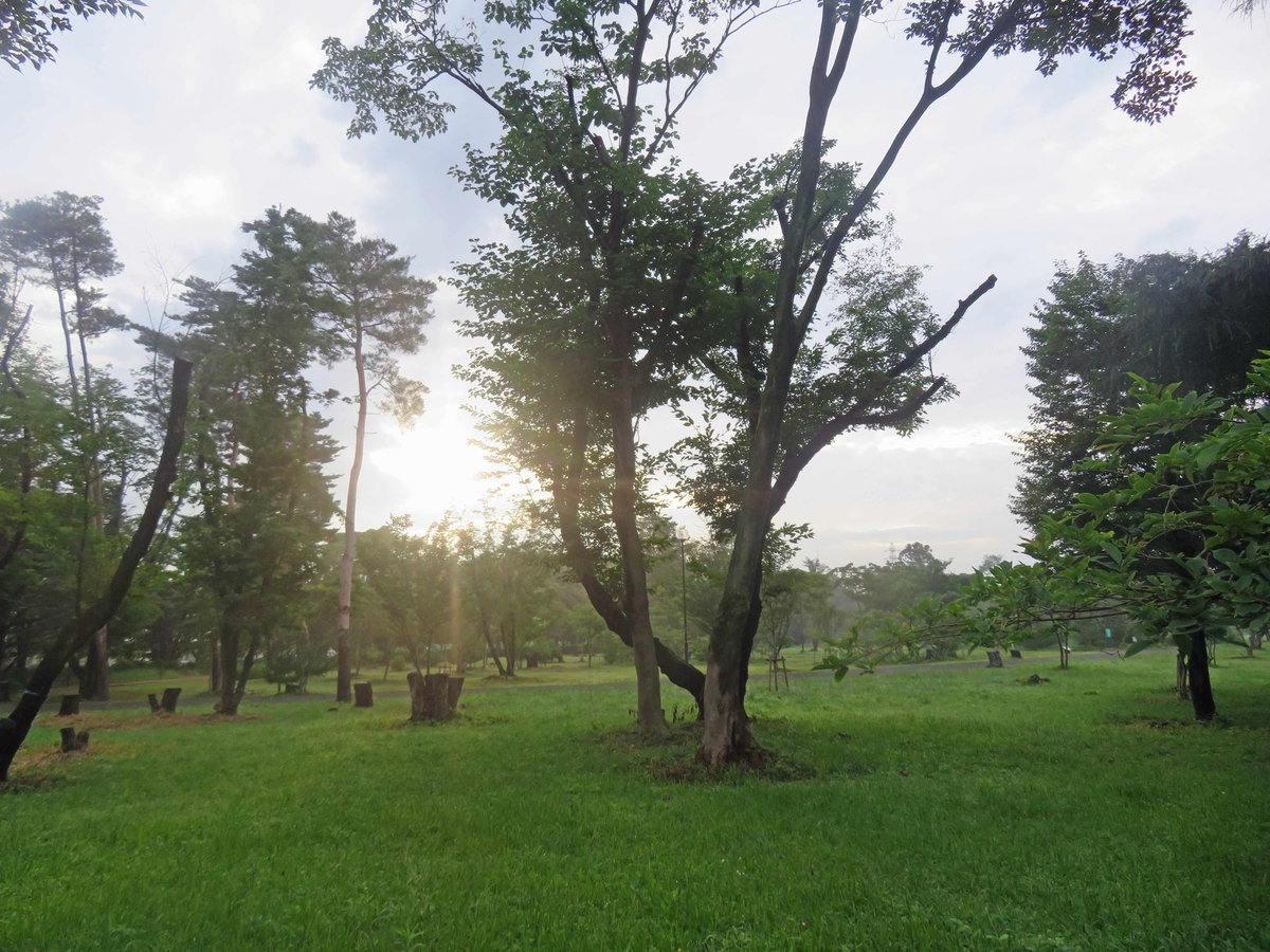 f:id:ICHIZO:20190719091634j:plain