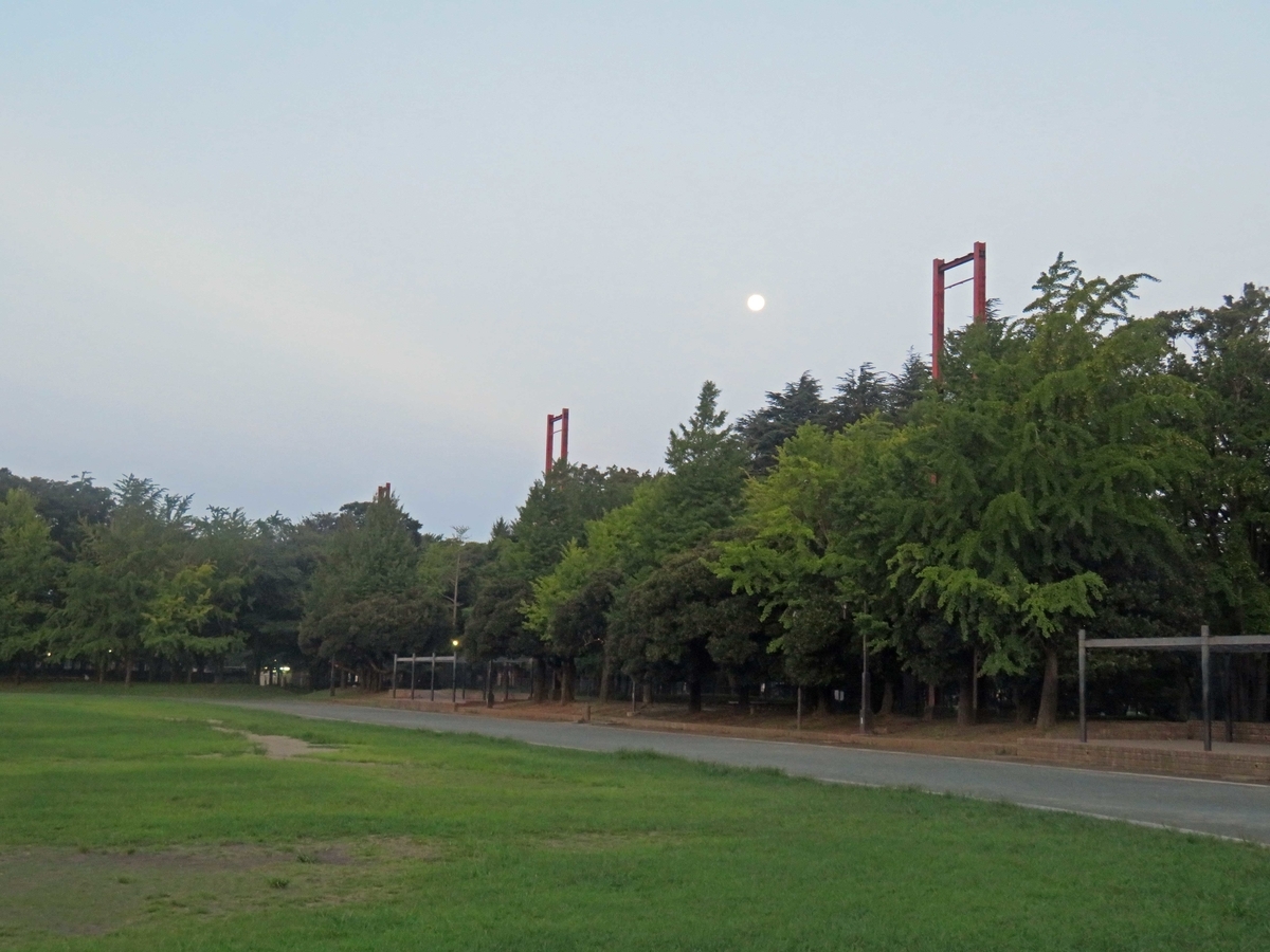 f:id:ICHIZO:20190818190018j:plain f:id:ICHIZO:20190818190018j:plain