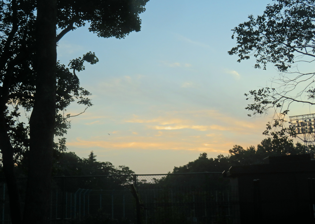 f:id:ICHIZO:20190818190324j:plain f:id:ICHIZO:20190818190324j:plain