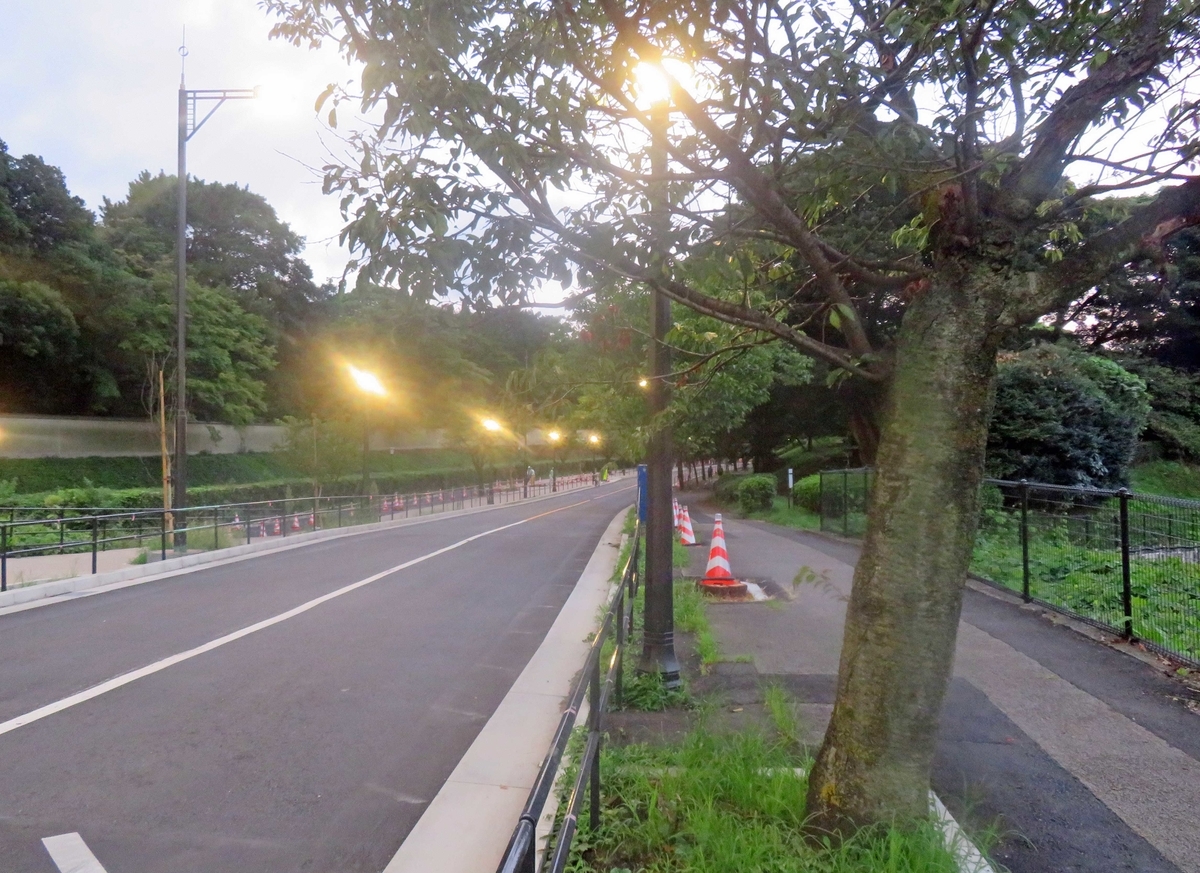 f:id:ICHIZO:20190907205839j:plain
