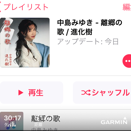 f:id:ICHIZO:20190925055922p:plain