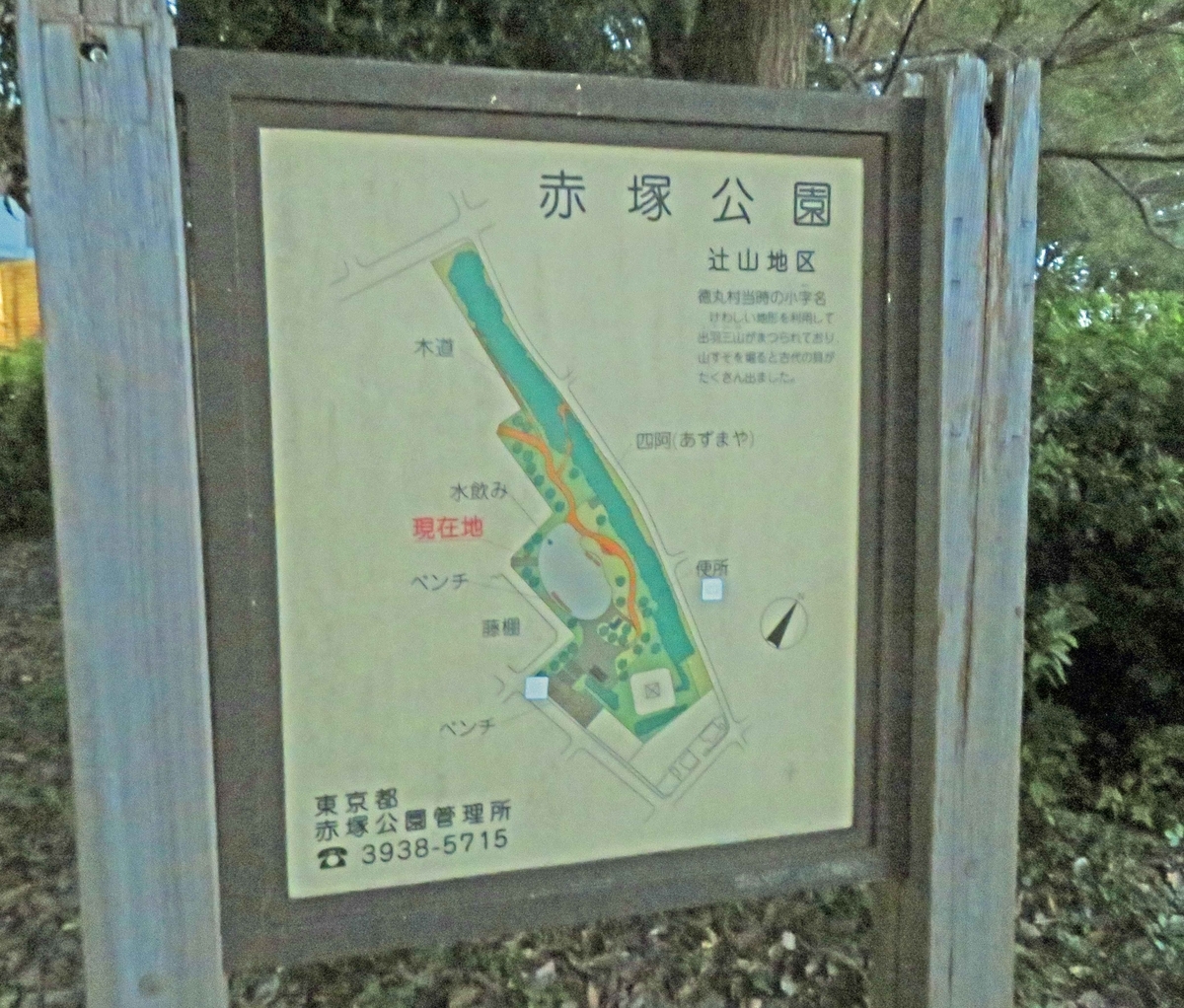 f:id:ICHIZO:20191117205523j:plain