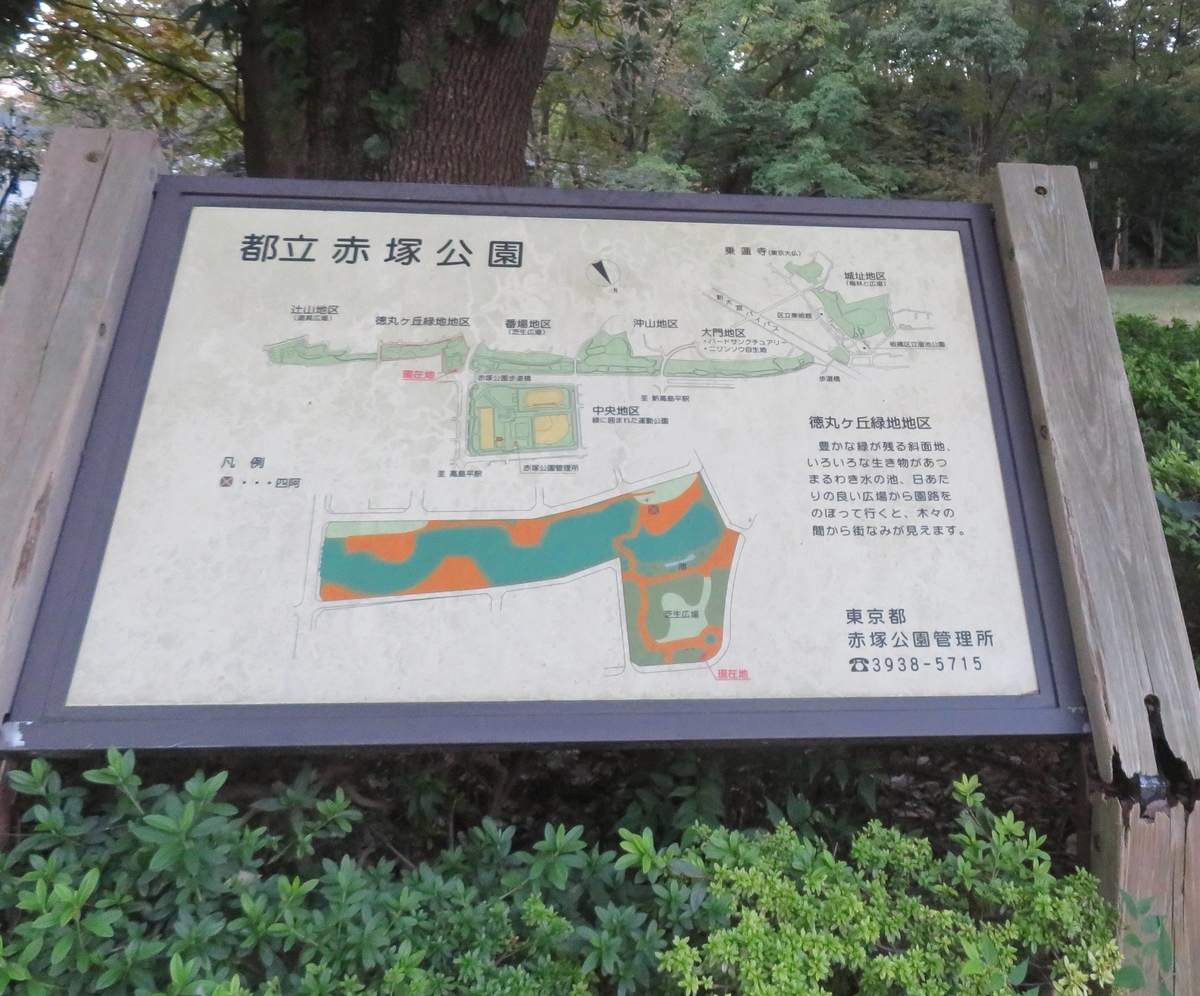 f:id:ICHIZO:20191117210228j:plain