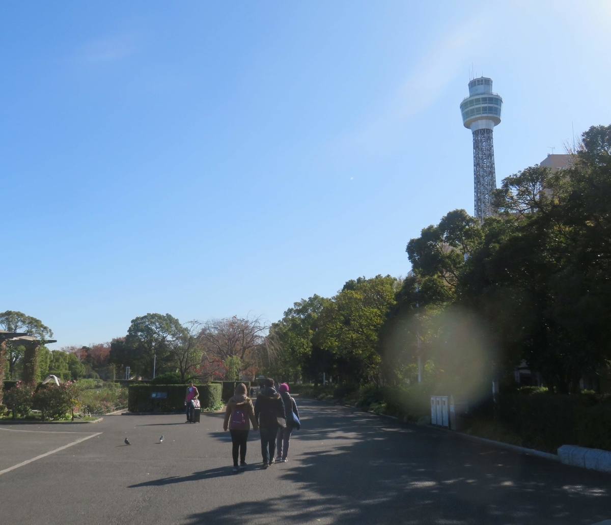 f:id:ICHIZO:20191130204823j:plain