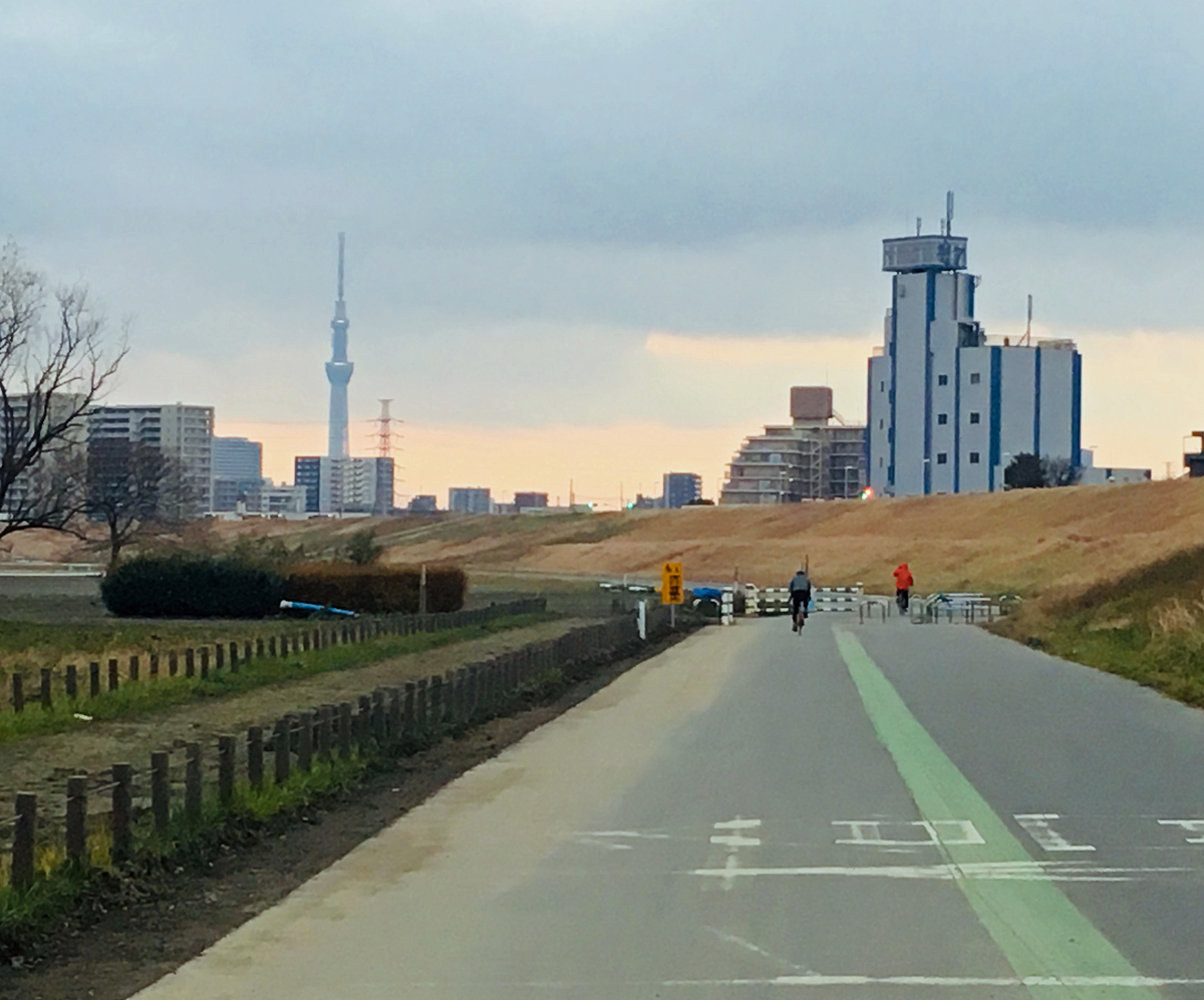 f:id:ICHIZO:20200113152534j:plain