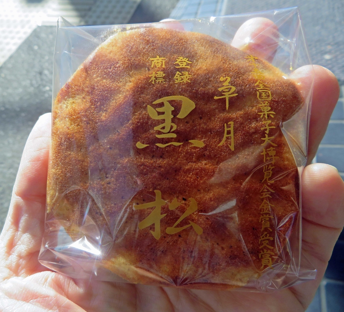 f:id:ICHIZO:20200204045507j:plain