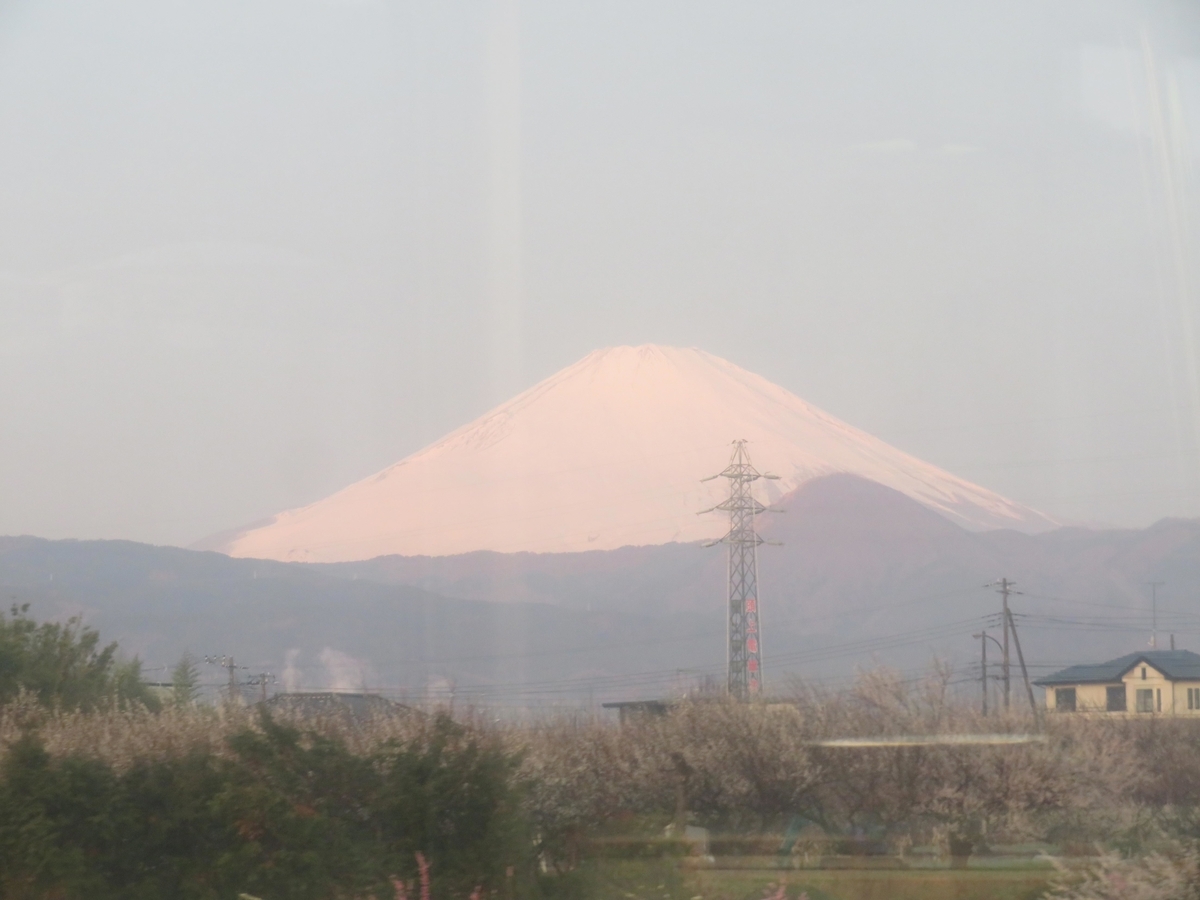 f:id:ICHIZO:20200217045234j:plain f:id:ICHIZO:20200217045234j:plain
