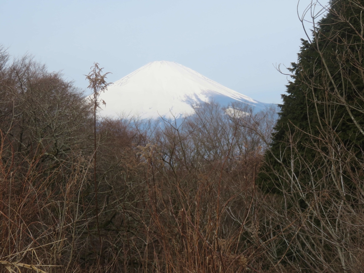 f:id:ICHIZO:20200217045403j:plain f:id:ICHIZO:20200217045403j:plain