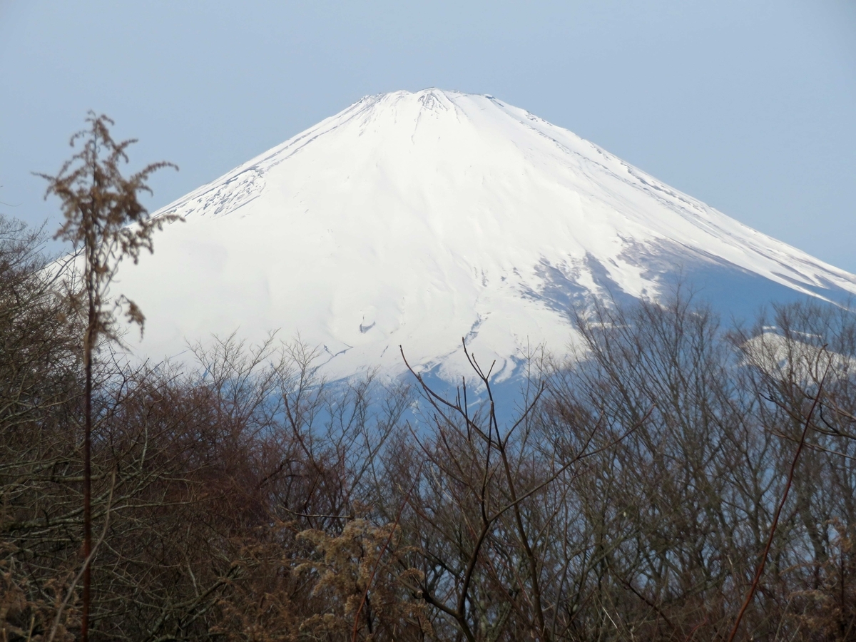 f:id:ICHIZO:20200217045429j:plain f:id:ICHIZO:20200217045429j:plain