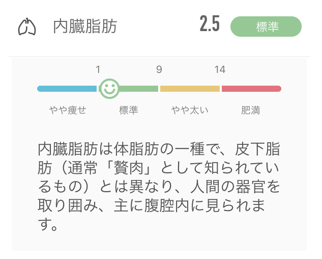 f:id:ICHIZO:20200317043320j:plain