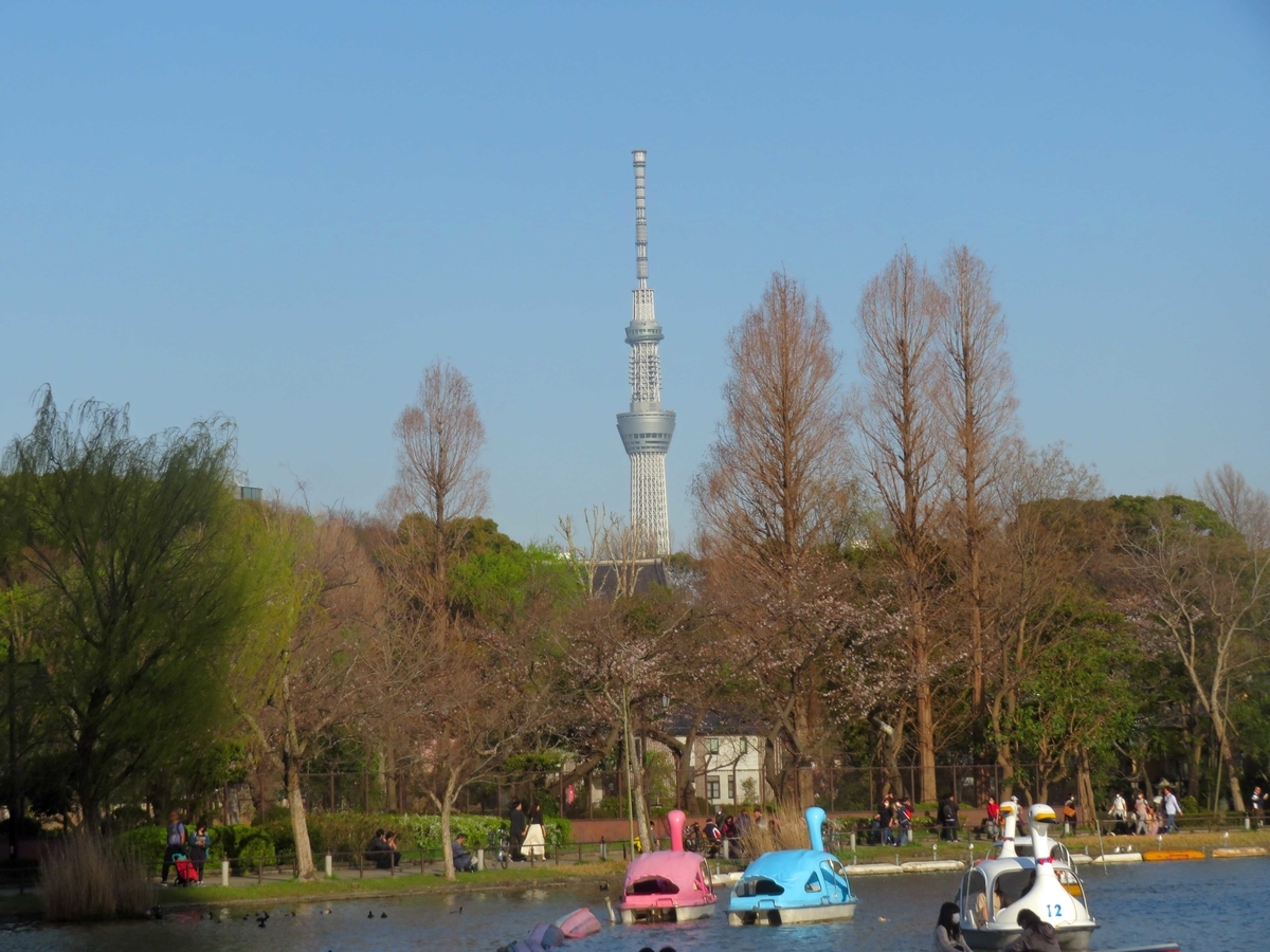 f:id:ICHIZO:20200326042428j:plain