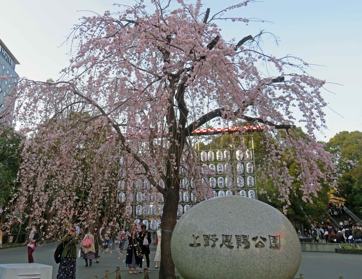 f:id:ICHIZO:20200326043238j:plain