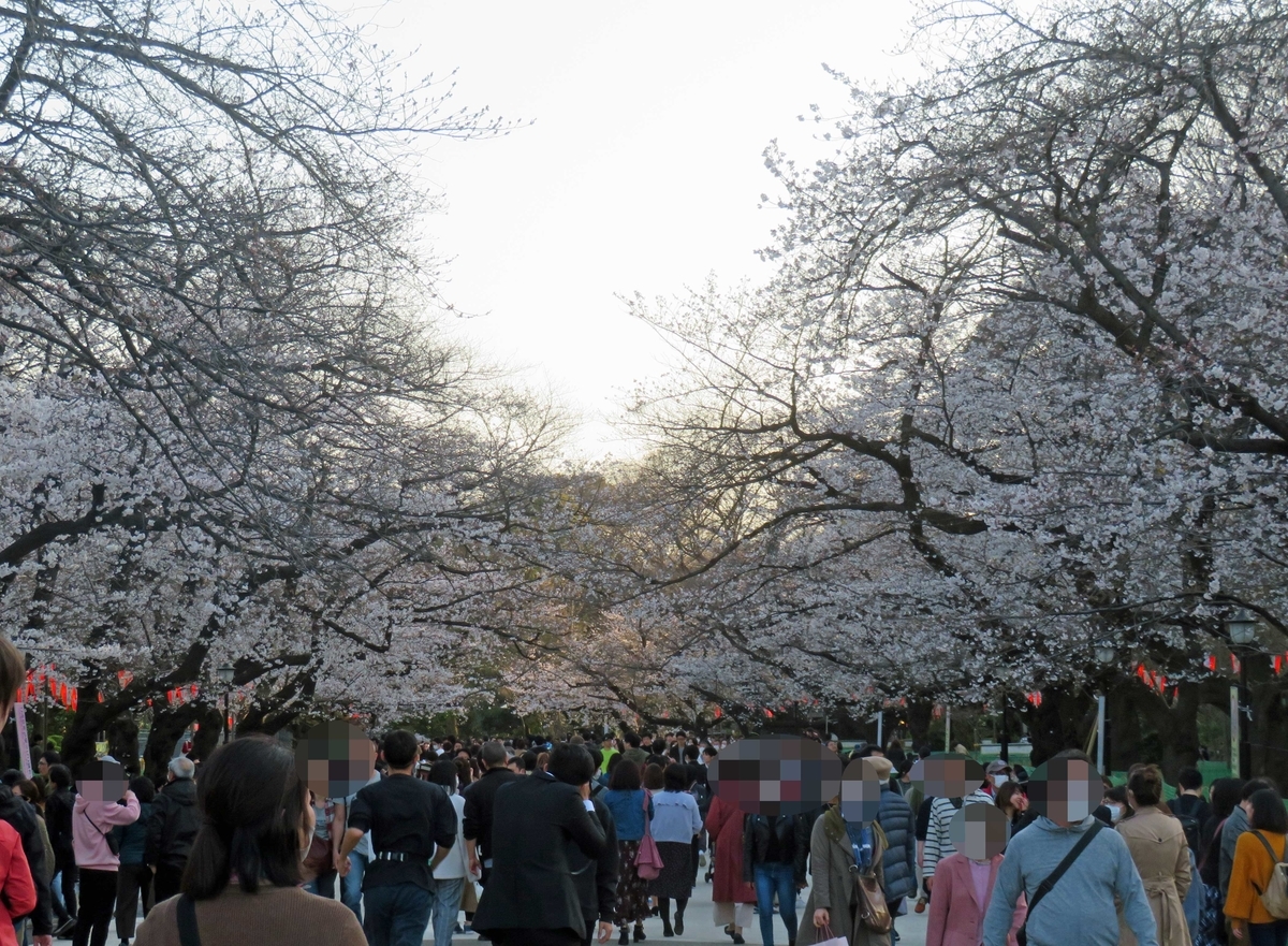 f:id:ICHIZO:20200326043422j:plain