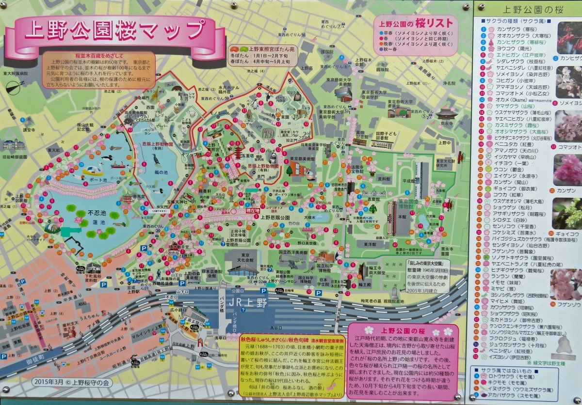 f:id:ICHIZO:20200326043740j:plain