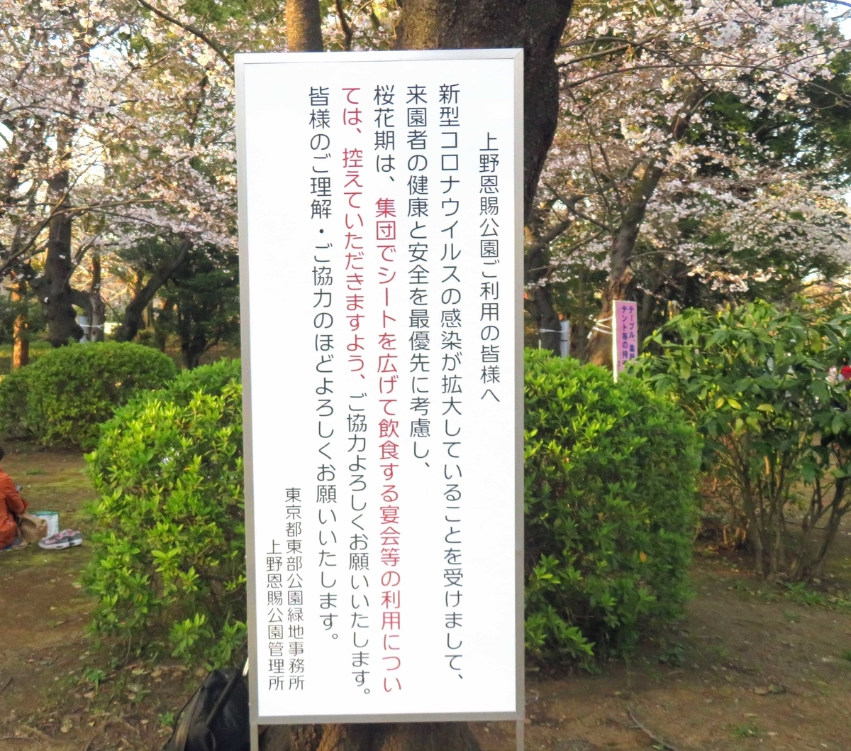f:id:ICHIZO:20200326044045j:plain