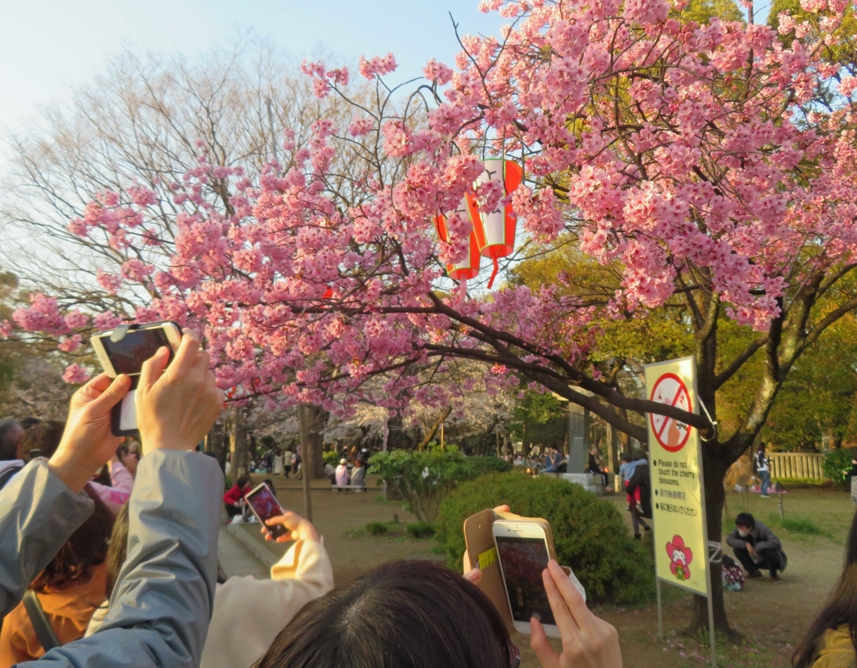 f:id:ICHIZO:20200326044438j:plain