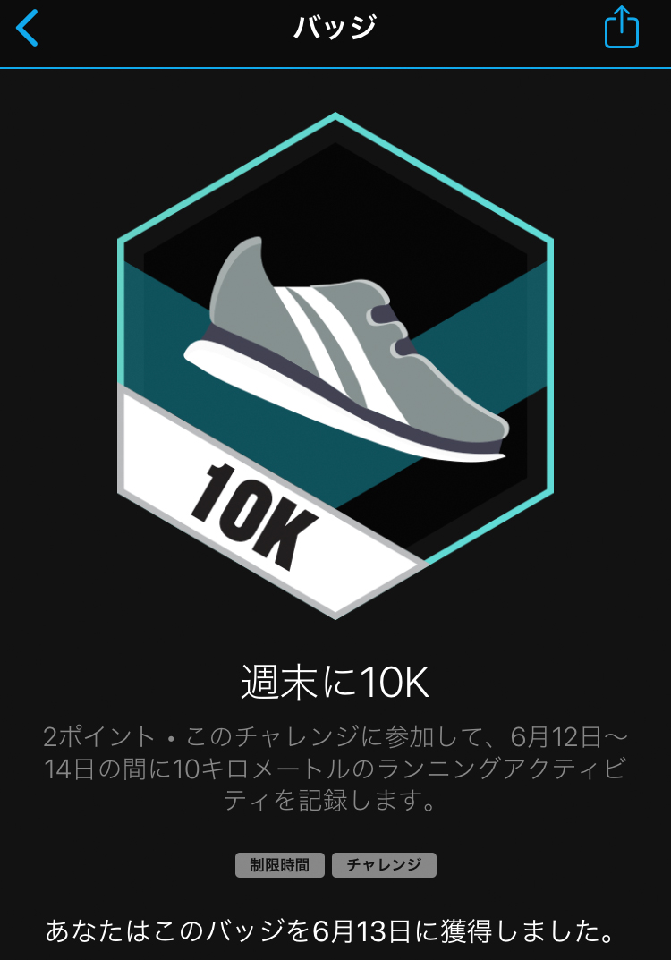 f:id:ICHIZO:20200613154638j:plain