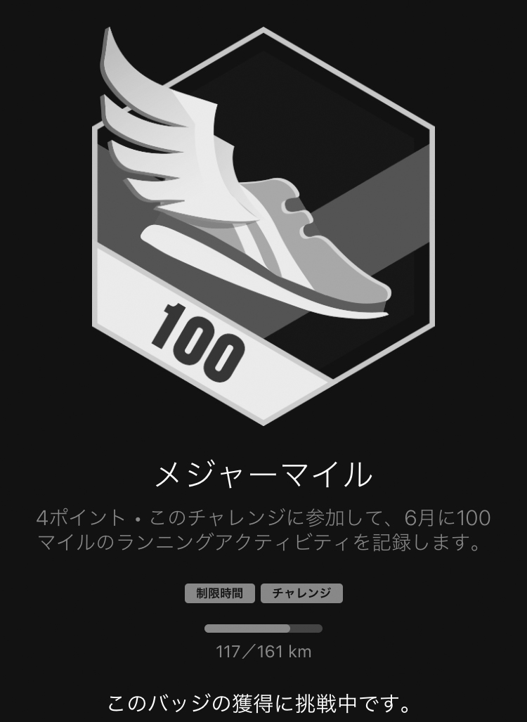 f:id:ICHIZO:20200613161838j:plain