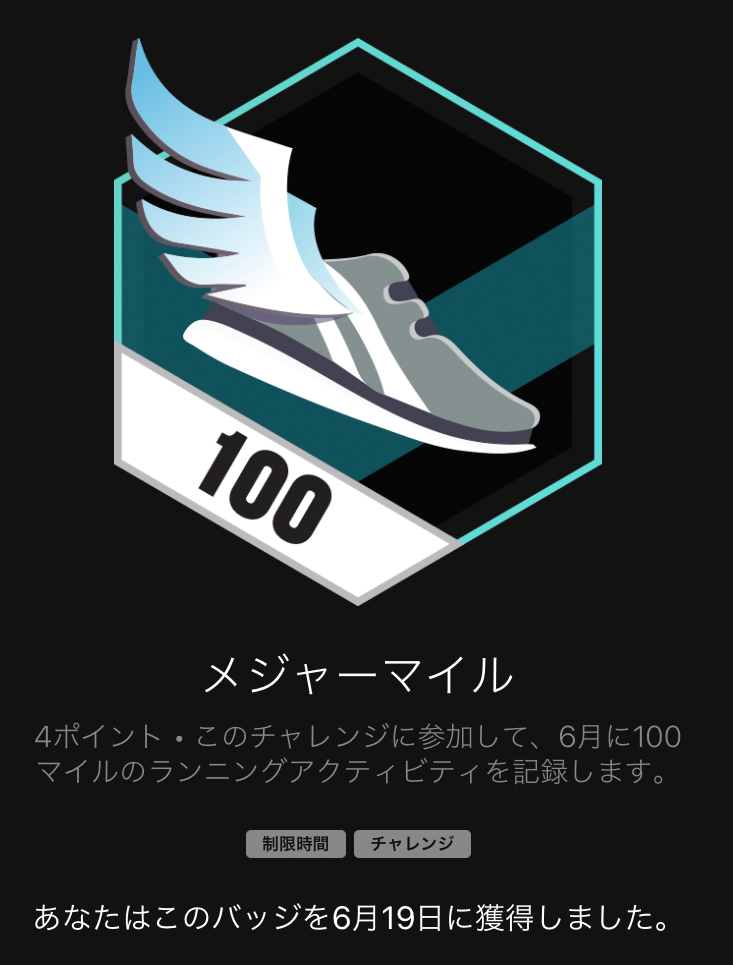 f:id:ICHIZO:20200619055732j:plain