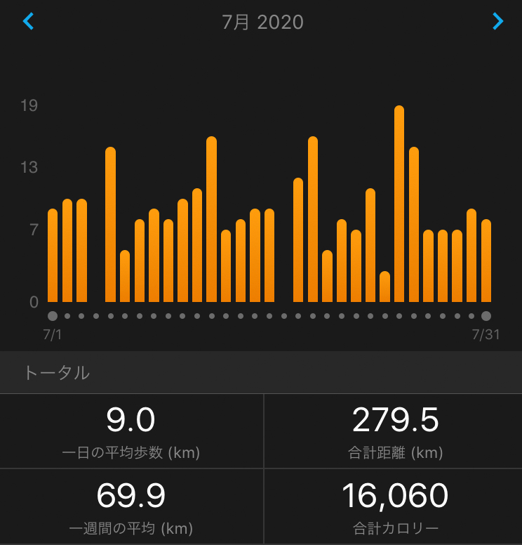 f:id:ICHIZO:20200801165546j:plain