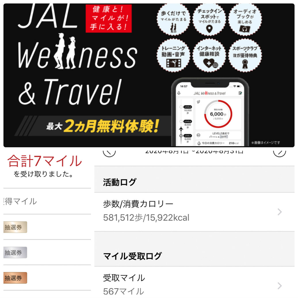 f:id:ICHIZO:20200902030206j:plain