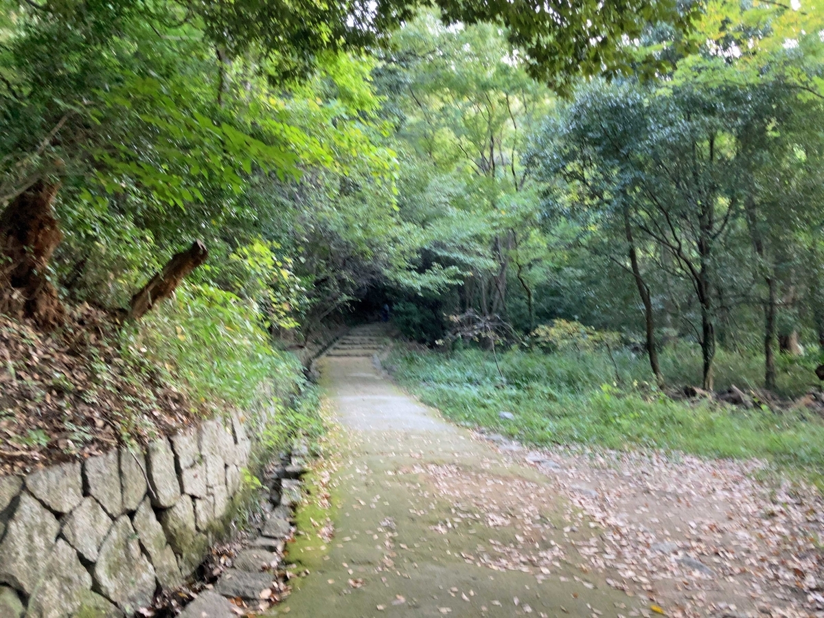 f:id:ICHIZO:20201115105917j:plain