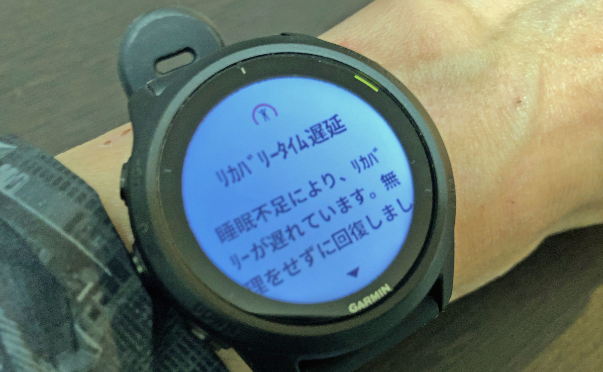 f:id:ICHIZO:20201202022258j:plain
