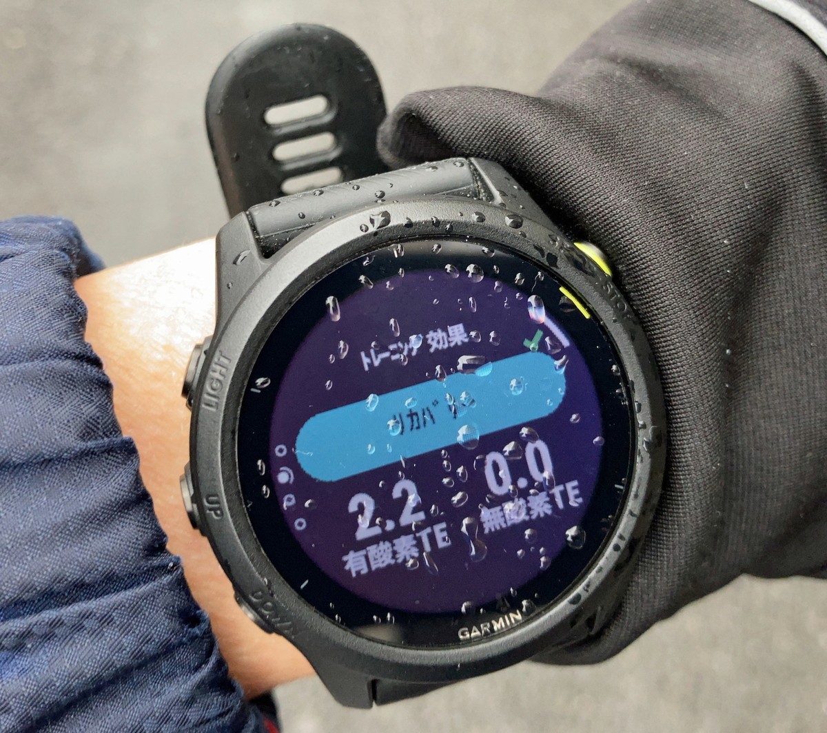 f:id:ICHIZO:20210124163929j:plain