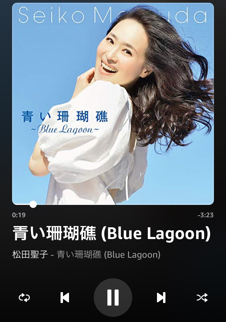 f:id:ICHIZO:20210402011644j:plain