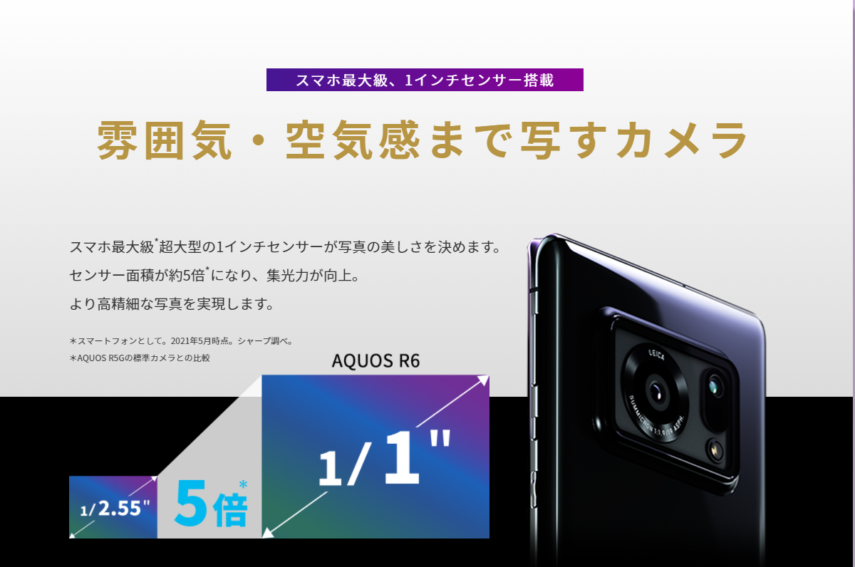 f:id:ICHIZO:20210517232957j:plain