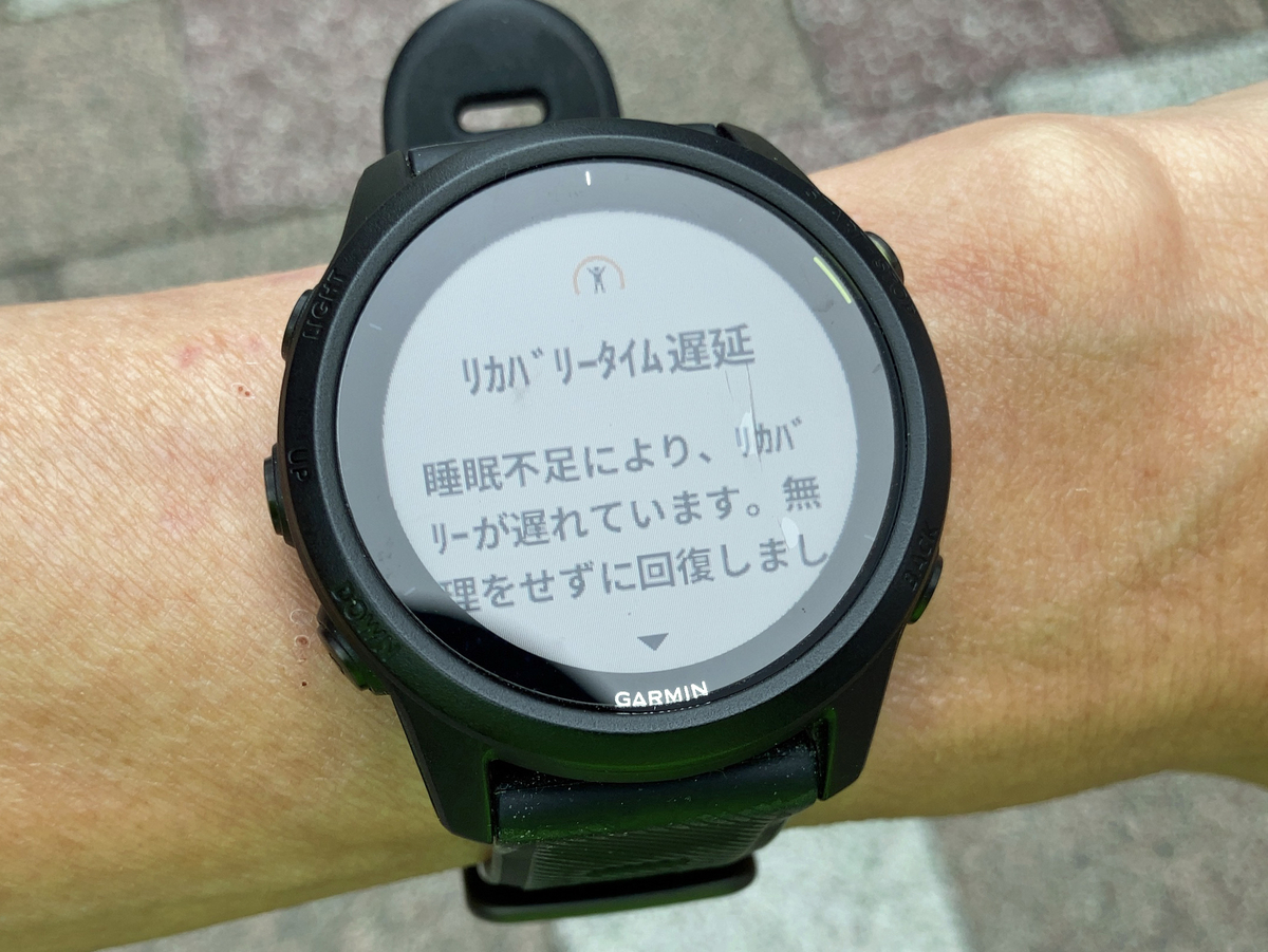 f:id:ICHIZO:20210605193153j:plain